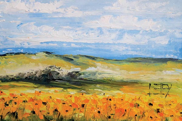 Lisa Elley: Sunflowers  by Lisa Elley