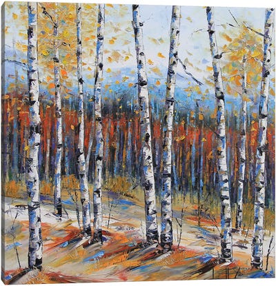 Tahoe Birch I Canvas Art Print - Lisa Elley