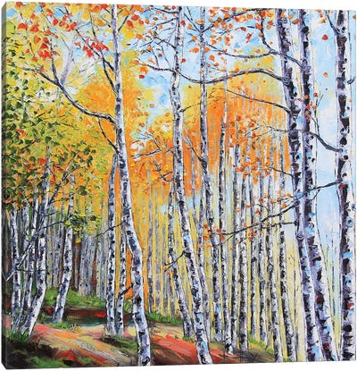 Tahoe Birch II Canvas Art Print - Lisa Elley