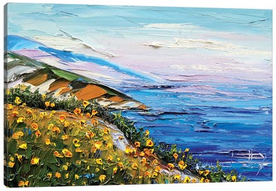 Big Sur III Canvas Art Print - Lisa Elley