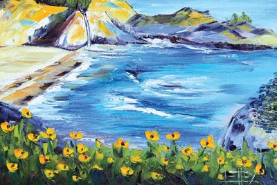 Big Sur IV by Lisa Elley acrylic art print