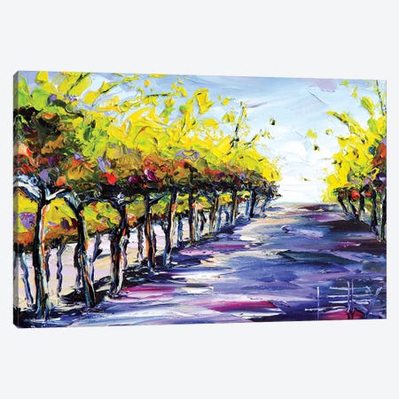 Vineyard I Canvas Print #LEL162} by Lisa Elley Canvas Art Print