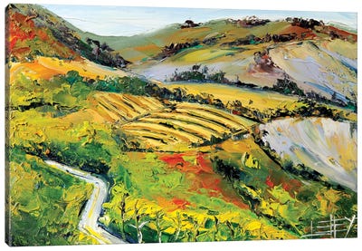 Vineyard II Canvas Art Print - Lisa Elley