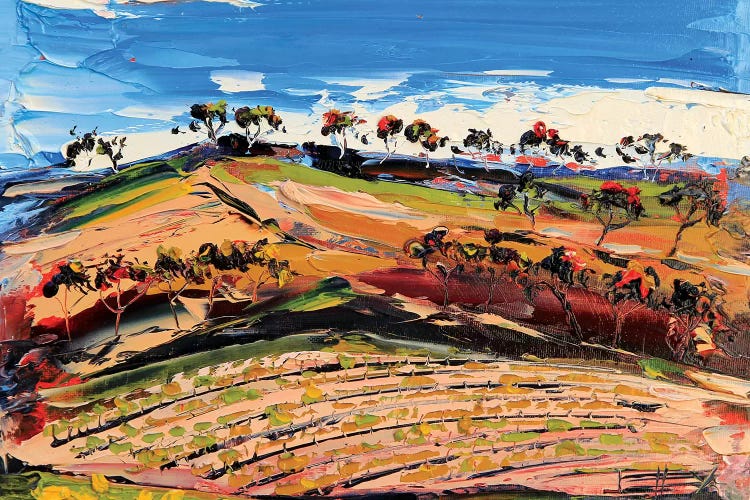 Vineyard III by Lisa Elley canvas print