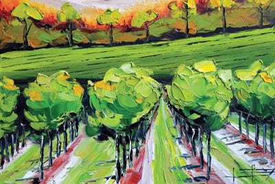 Vineyard B by Lisa Elley canvas print