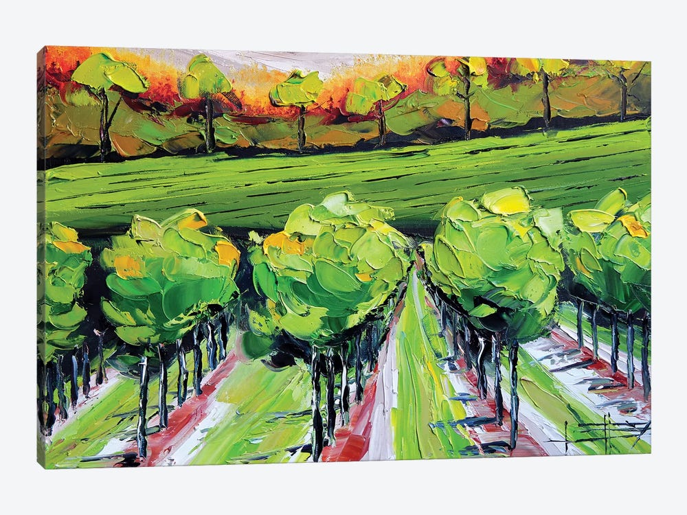Vineyard B by Lisa Elley 1-piece Canvas Artwork