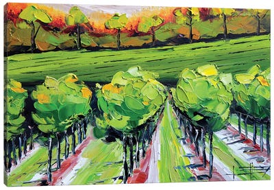 Vineyard B Canvas Art Print - Lisa Elley