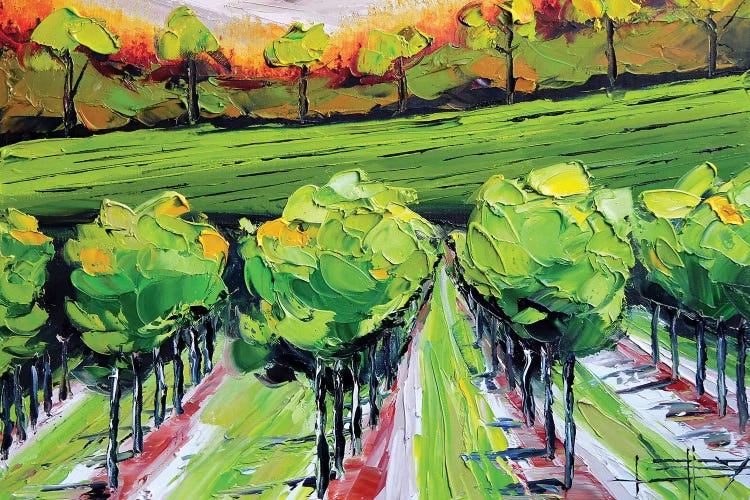 Vineyard B by Lisa Elley wall art