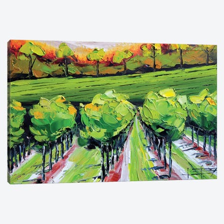 Vineyard B Canvas Print #LEL166} by Lisa Elley Canvas Art