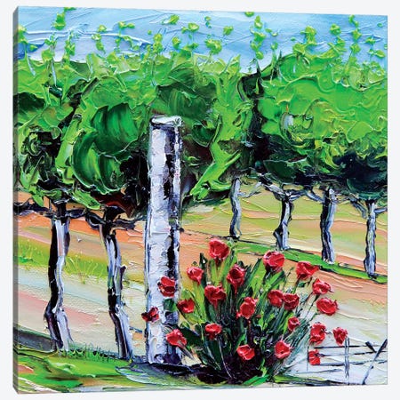 Vineyard Folktale  Canvas Print #LEL167} by Lisa Elley Canvas Art