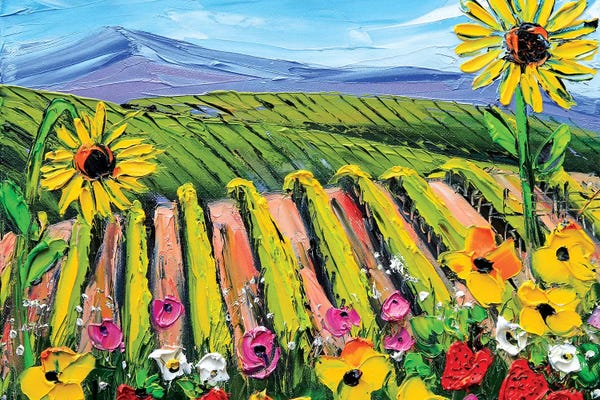 Vineyards: Went by Lisa Elley