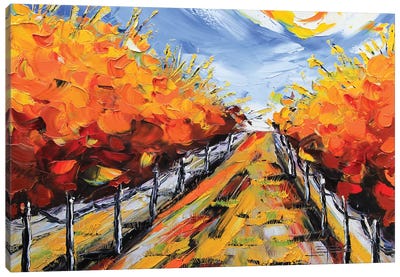 Wine Country Fall Canvas Art Print - Lisa Elley