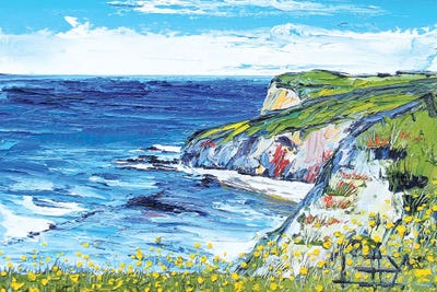 Big Sur V by Lisa Elley canvas print