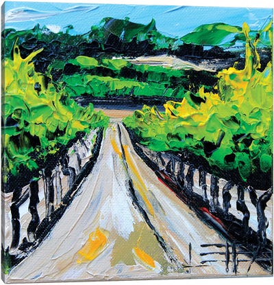 Winery In Carmel Canvas Art Print - Lisa Elley