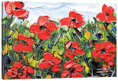 Red Poppies Canvas Art Print - Lisa Elley