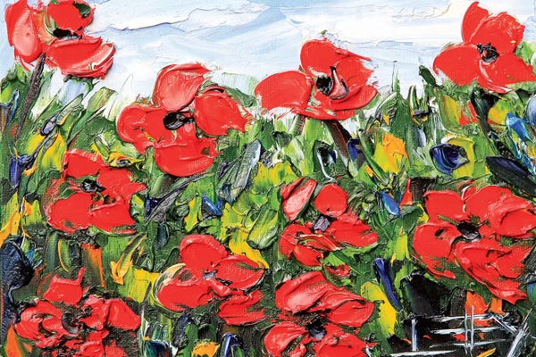 Poppies: Red Poppies by Lisa Elley