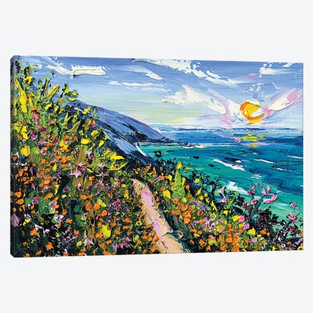 A Walk In Big Sur Canvas Print #LEL190} by Lisa Elley Canvas Art
