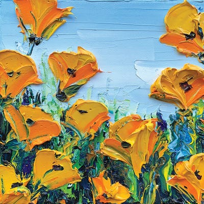 Sheer Joy by Lisa Elley canvas print