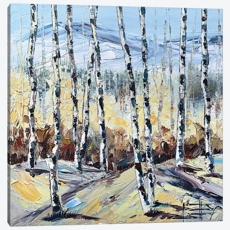 Autumn Birch Canvas Print #LEL195} by Lisa Elley Canvas Art Print