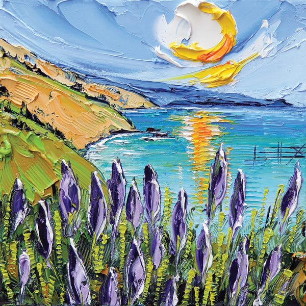 Big Sur: From Big Sur, With Love by Lisa Elley