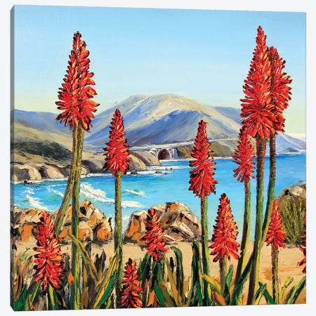 Big Sur Lilies i Canvas Print #LEL20} by Lisa Elley Canvas Art