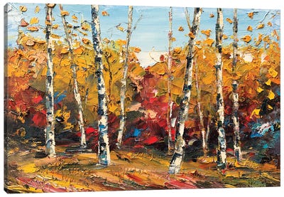 When September Comes Canvas Art Print - Birch Tree Art