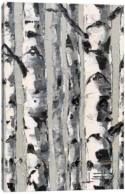 Birch Simplified Canvas Art Print - Tree Close-Up Art