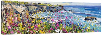Springtime In California Canvas Art Print - Coastline Art