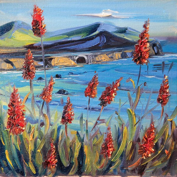 Big Sur Lilies II