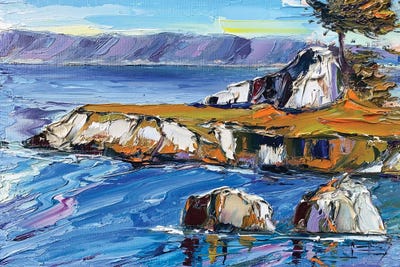 A Quiet Morning At Pacific Grove by Lisa Elley art print