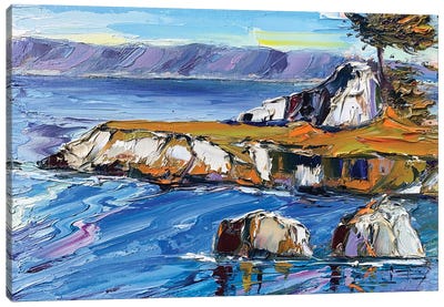 A Quiet Morning At Pacific Grove Canvas Art Print - Lisa Elley