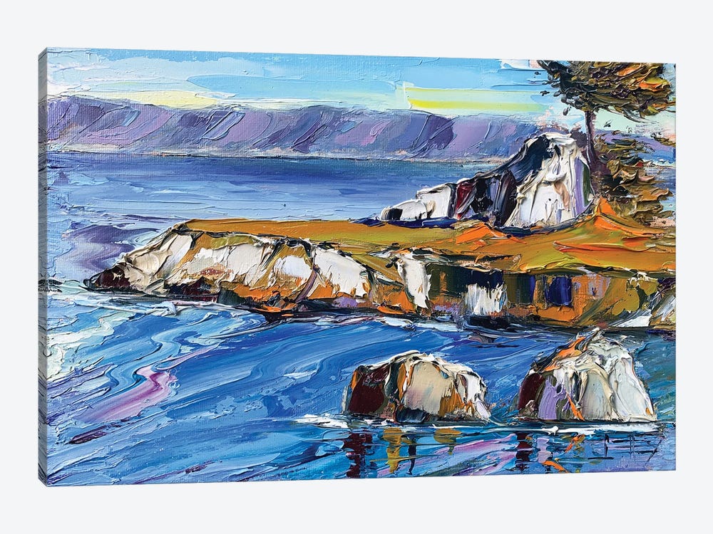 A Quiet Morning At Pacific Grove by Lisa Elley 1-piece Art Print