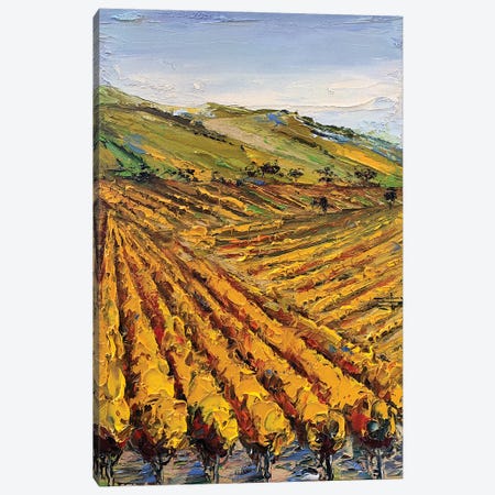 Viansa Winery Canvas Print #LEL230} by Lisa Elley Canvas Art Print