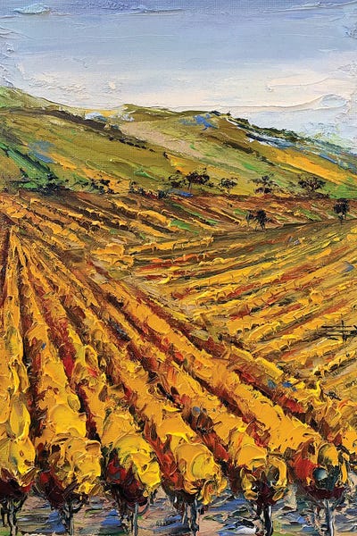 Vineyards: Viansa Winery by Lisa Elley