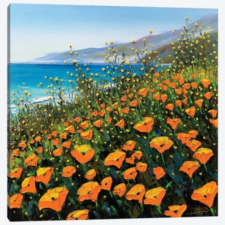 Poppies In The Springtime II Canvas Print #LEL232} by Lisa Elley Art Print