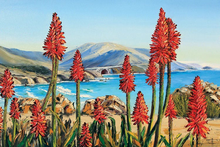Big Sur Lilies III