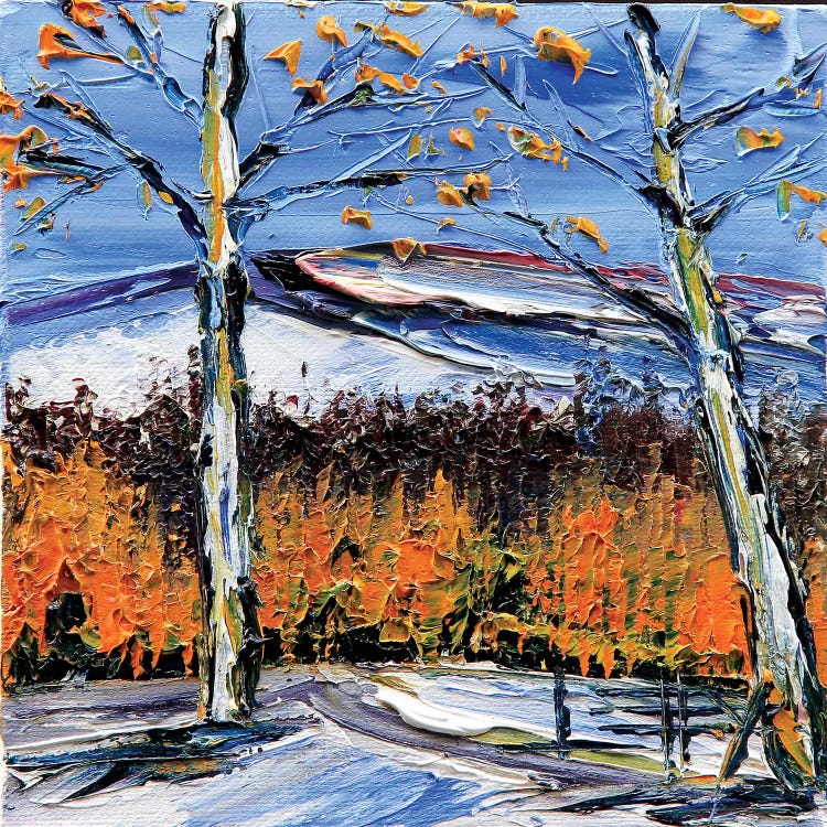 Birch Dream by Lisa Elley wall art