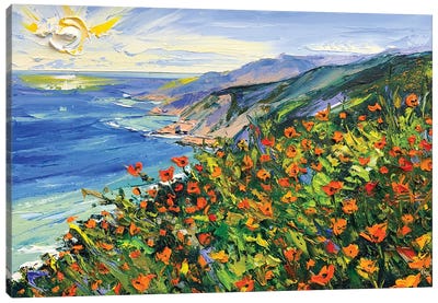 A Walk In Big Sur II Canvas Art Print - Lisa Elley