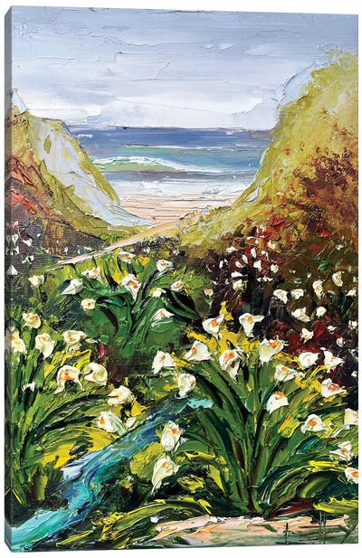 Big Sur Lilies III Canvas Art Print - Lisa Elley