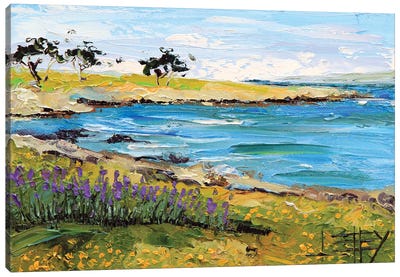 Pacific Grove, Monterey Canvas Art Print - Lisa Elley