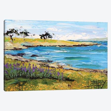 Pacific Grove, Monterey Canvas Print #LEL272} by Lisa Elley Canvas Art Print