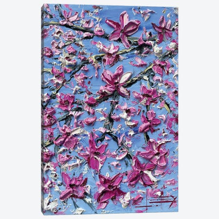Cherry Blossoms In The Spring Canvas Print #LEL275} by Lisa Elley Canvas Art