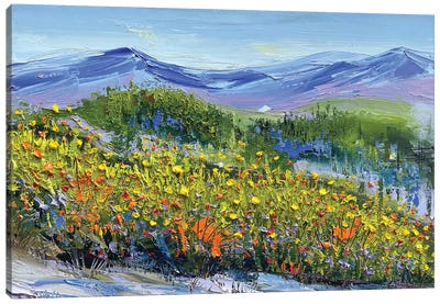 Sonoma Spring Canvas Art Print - Vineyard Art