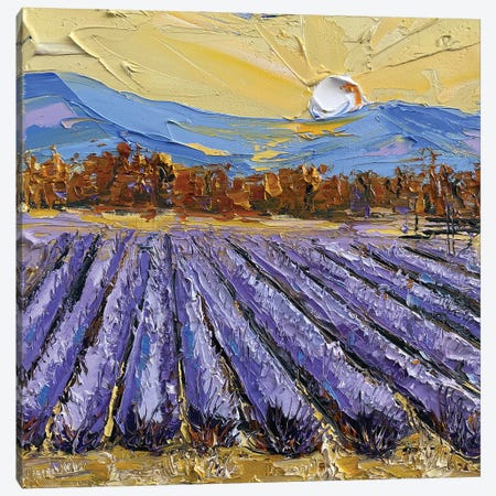 Napa Valley Lavender Canvas Print #LEL304} by Lisa Elley Canvas Wall Art