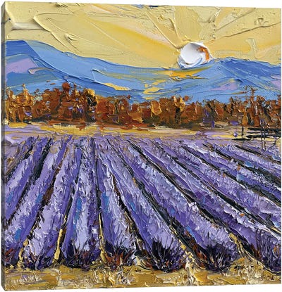Napa Valley Lavender Canvas Art Print - Napa Valley