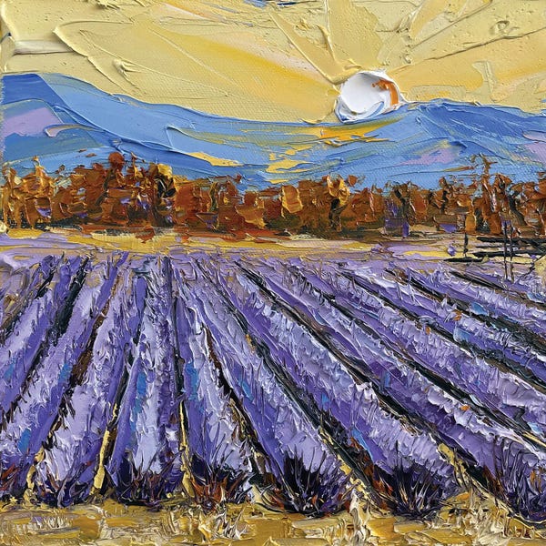 Herbs: Napa Valley Lavender by Lisa Elley