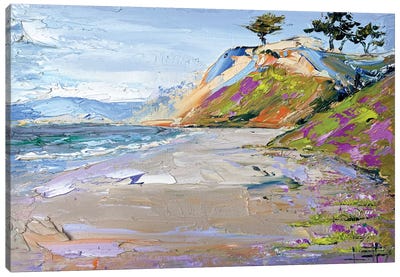 Spring At Manresa Beach Canvas Art Print - Palette Knife Prints