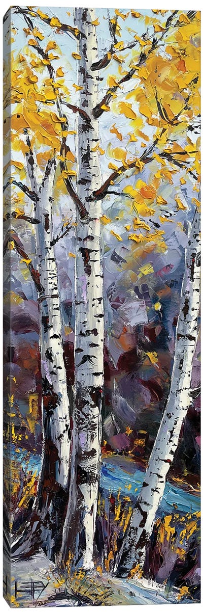 Autumn's Palette Canvas Art Print - Aspen and Birch Trees