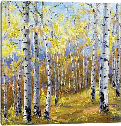 Adagio Canvas Art Print - Aspen and Birch Trees