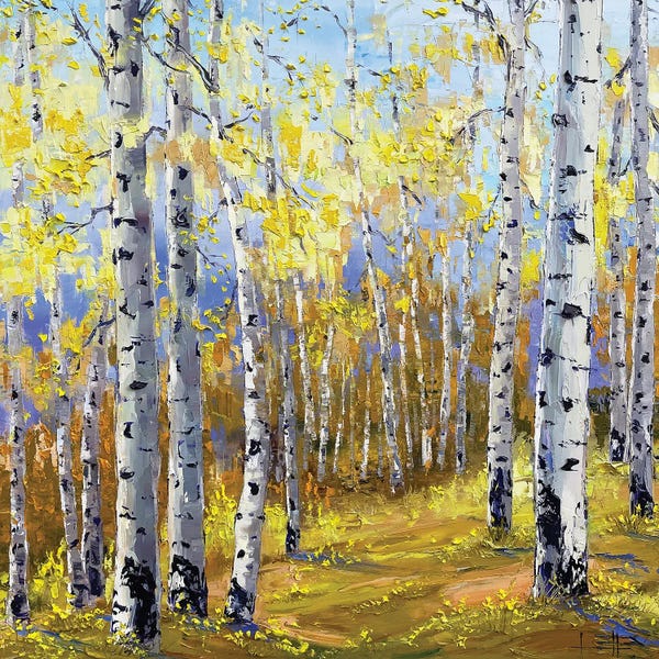 Aspen Trees | Birch Trees: Adagio by Lisa Elley